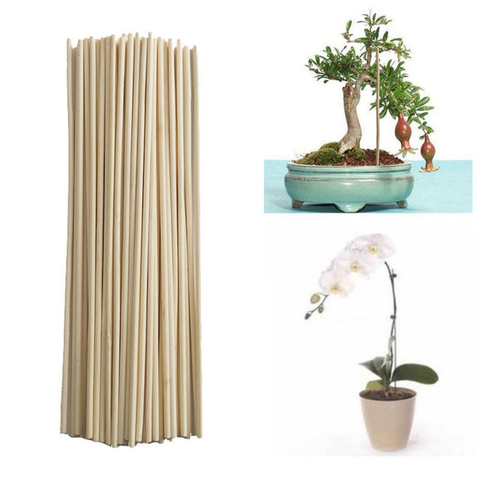 Gardening Tools Shop - 50PCS Bamboo Sticks Trellis Stakes Kit