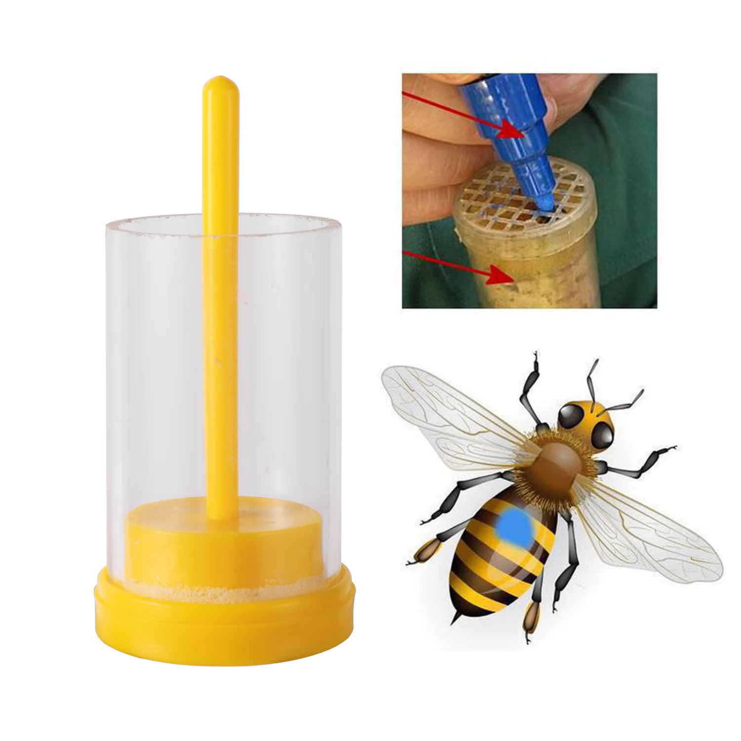 Beekeeper Bee Queen Marker Bot - Gardening Tools Yellow recensione e prezzo