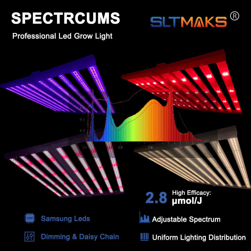US Stock PPFD 2800 Umol/S Led  - Led Grow Light recensione e prezzo