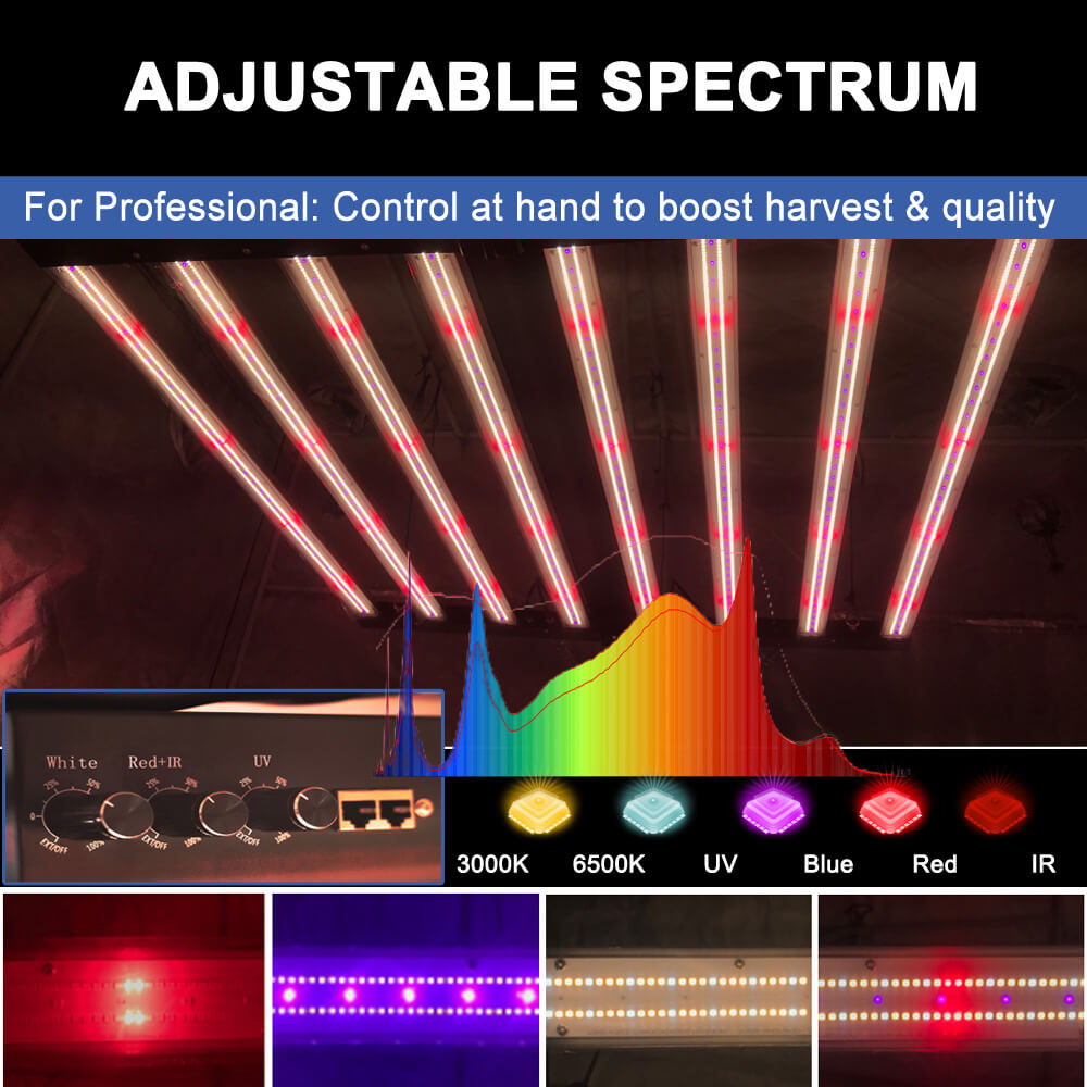 US Stock PPFD 2800 Umol/S Led  - Led Grow Light recensione e prezzo