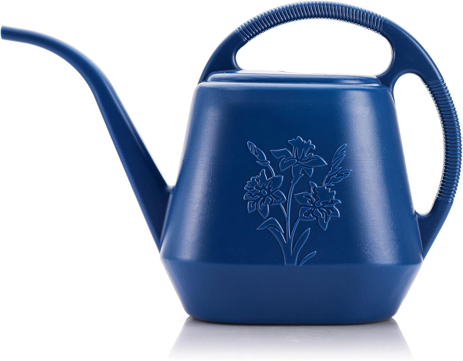 1-Gallon Plastic Watering Can  - Watering Can Long Spout recensione e prezzo