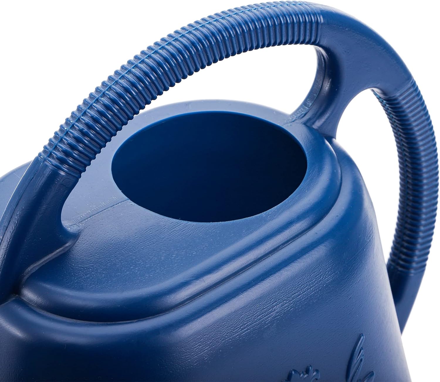 1-Gallon Plastic Watering Can  - Watering Can Long Spout recensione e prezzo
