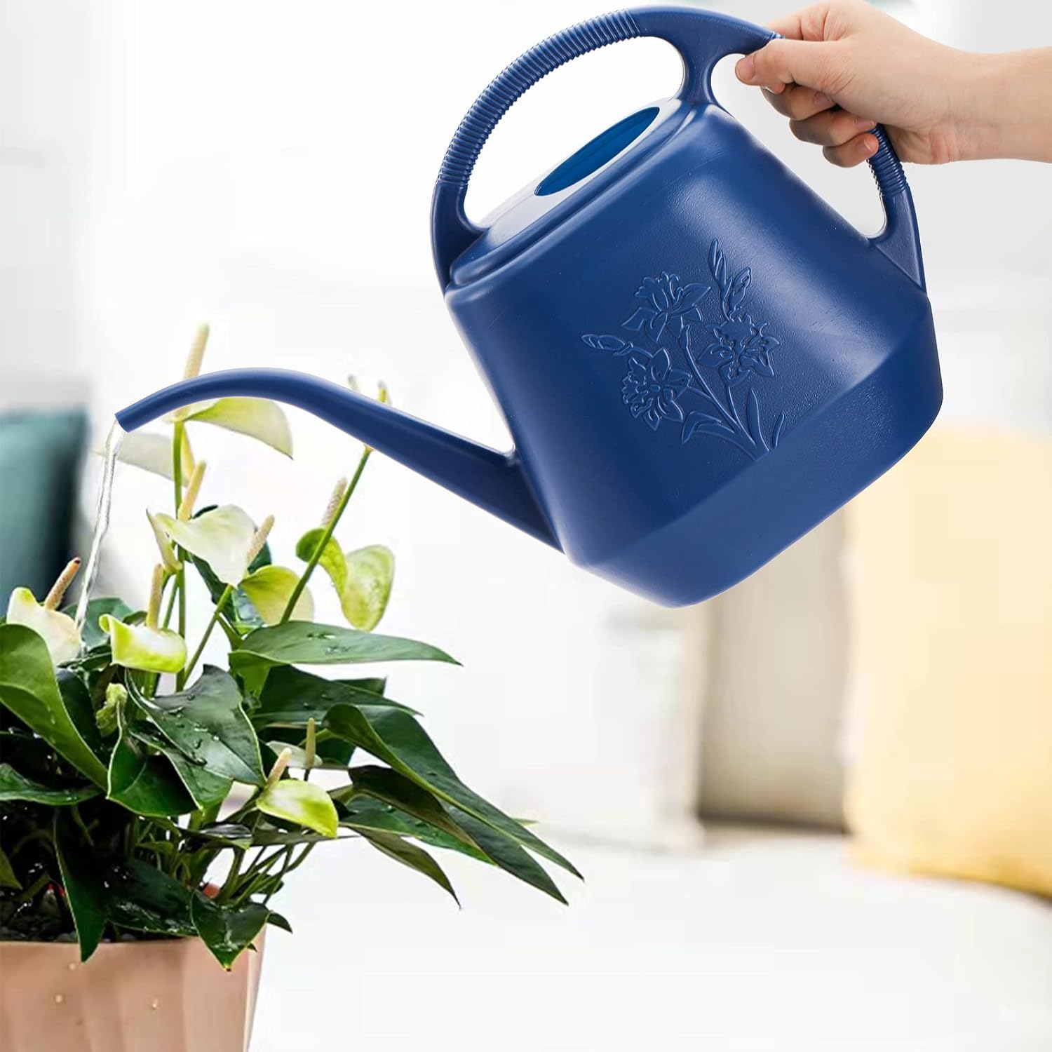 1-Gallon Plastic Watering Can  - Watering Can Long Spout recensione e prezzo