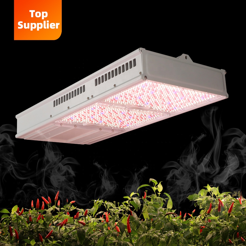 Cost-Effective 600W 800W Topli - Led Grow Light recensione e prezzo