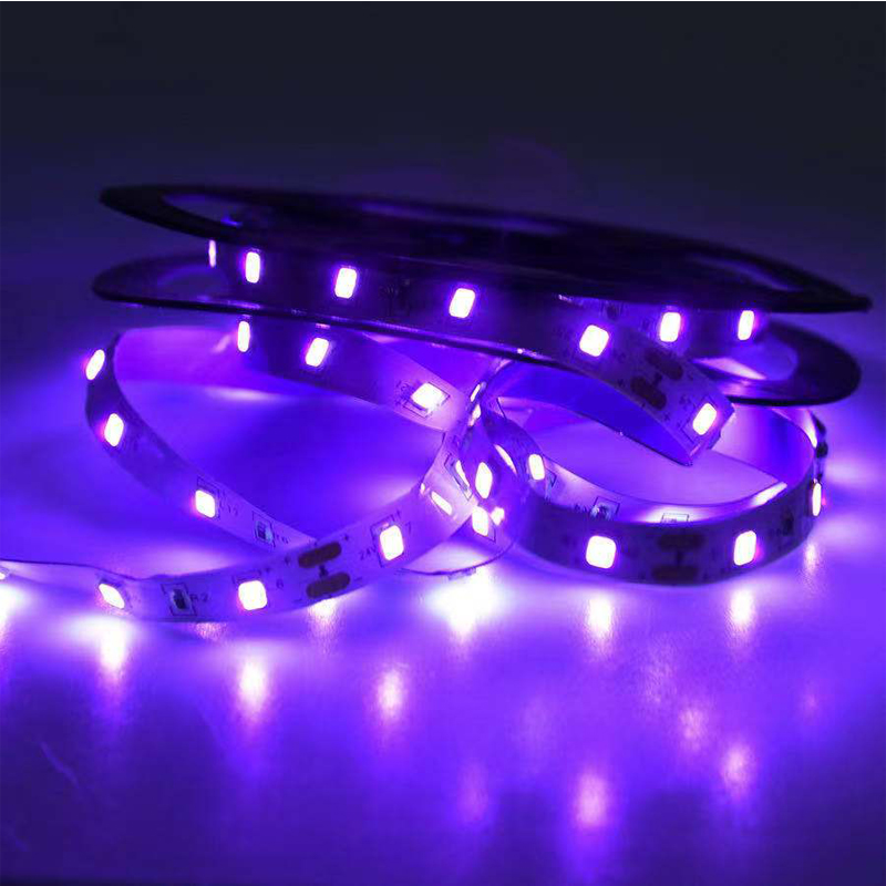 UV LED Ultraviolet Light, Blac - Led Grow Light recensione e prezzo