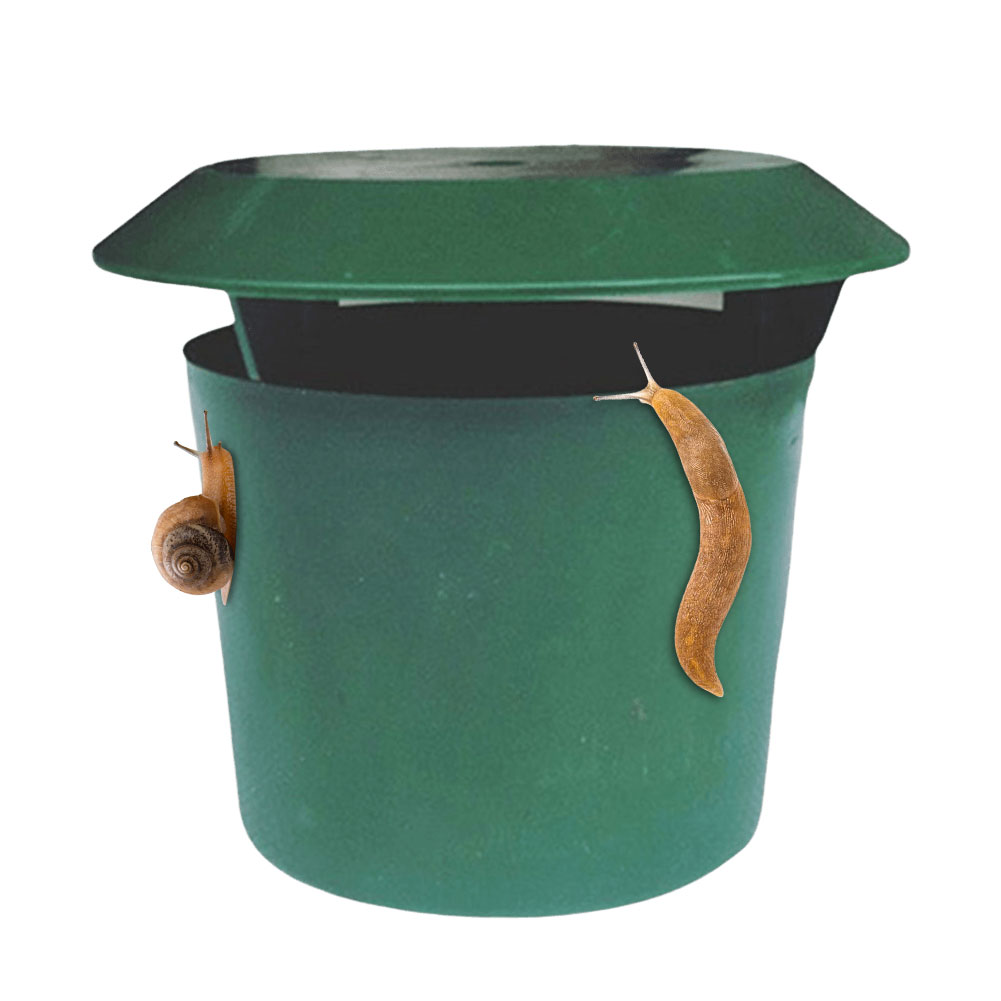 2/4/12pcs Slug House  Animal   - Gardening Tools Toolstation recensione e prezzo