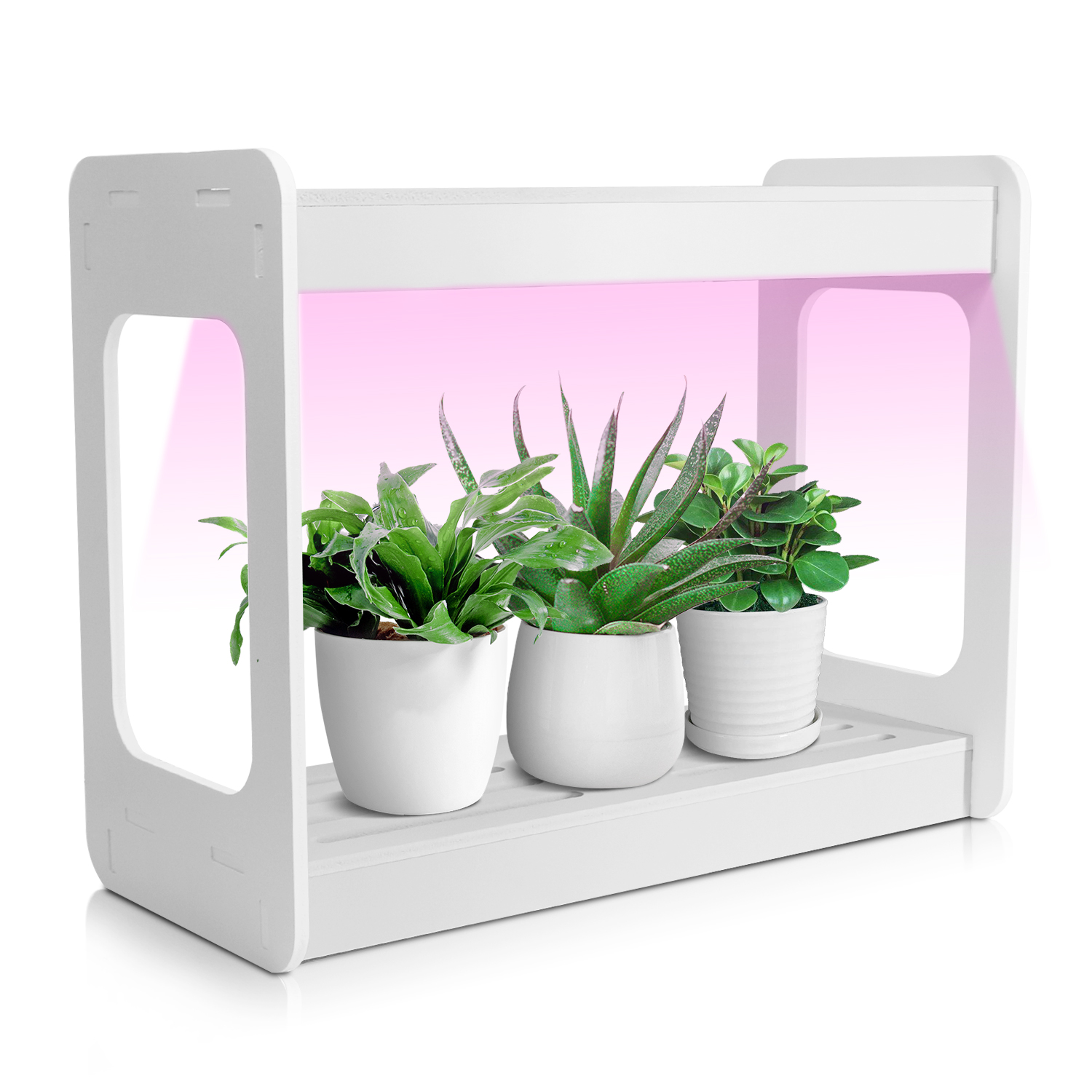 Smart Mini LED Grow Light Syst - Led Grow Light recensione e prezzo