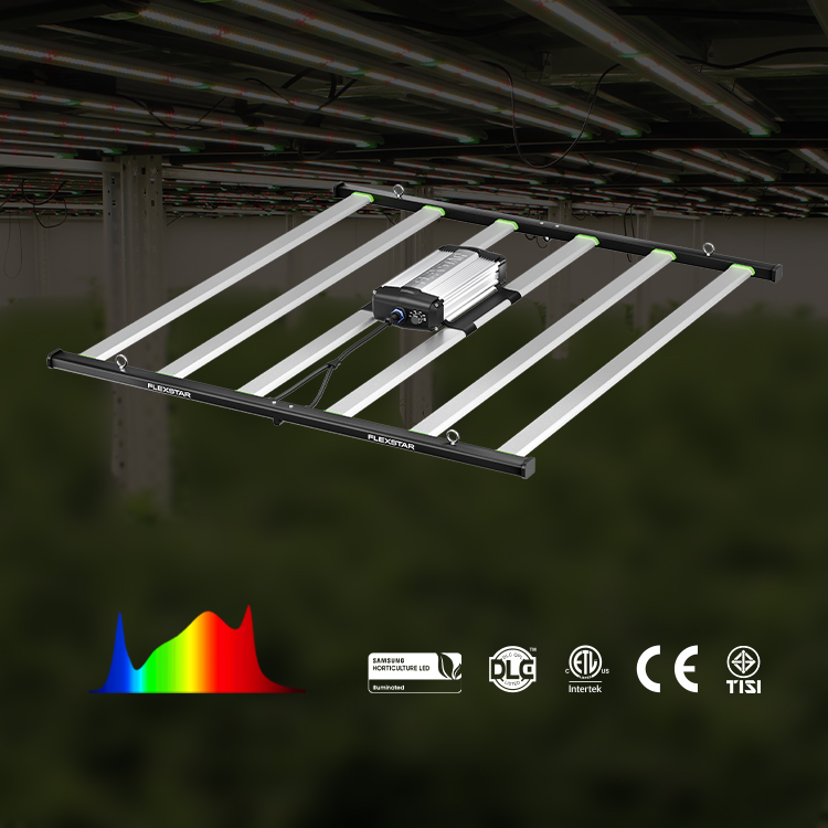 Yields up to 3.75Lbs US Stock  - Led Grow Light recensione e prezzo