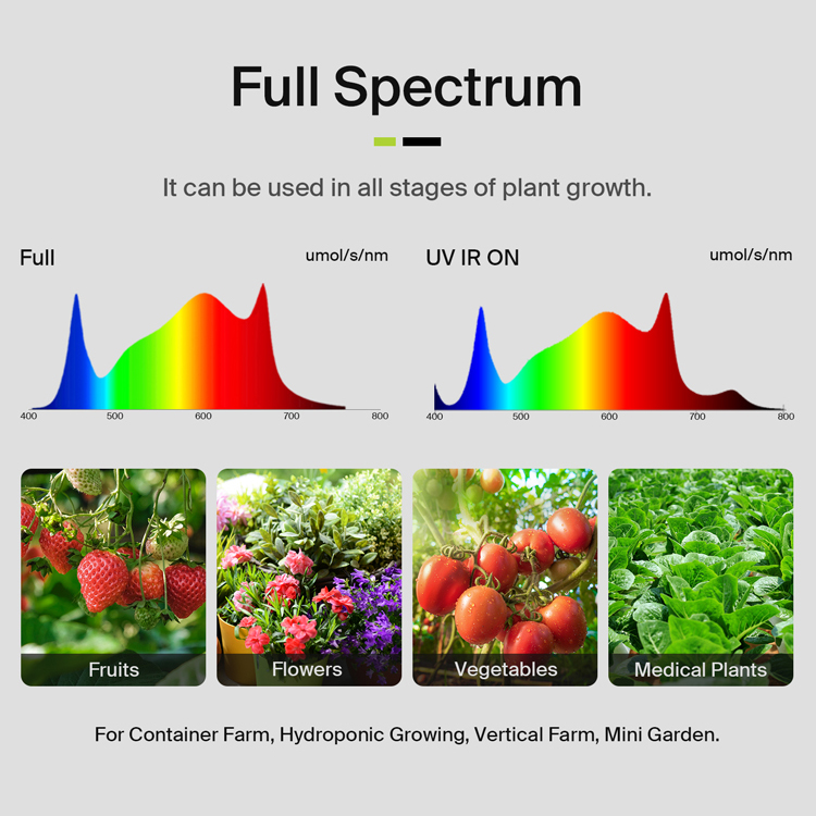 Yields up to 3.75Lbs US Stock  - Led Grow Light recensione e prezzo