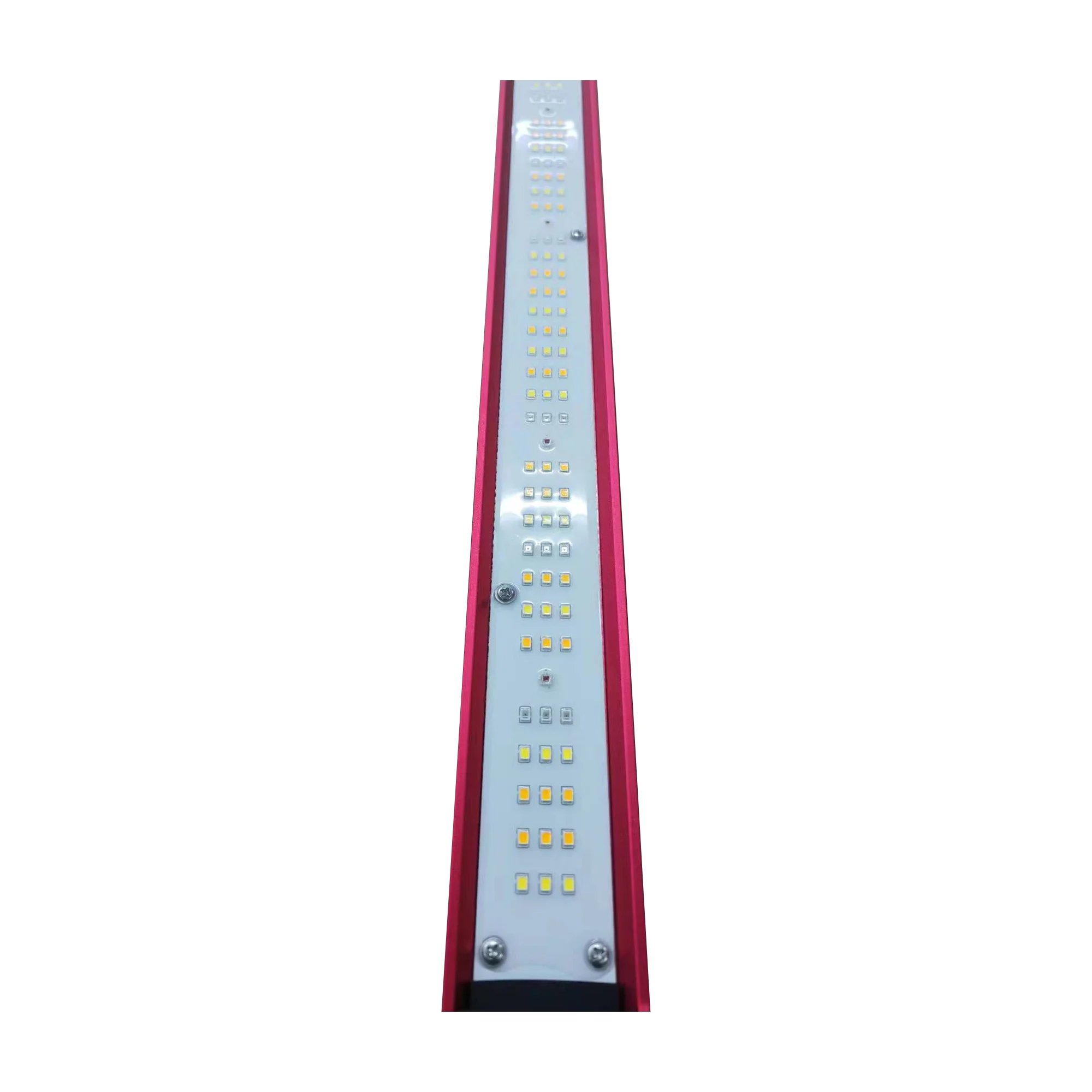 450w 600w 800w 1000Watt Indoor - Led Grow Light recensione e prezzo