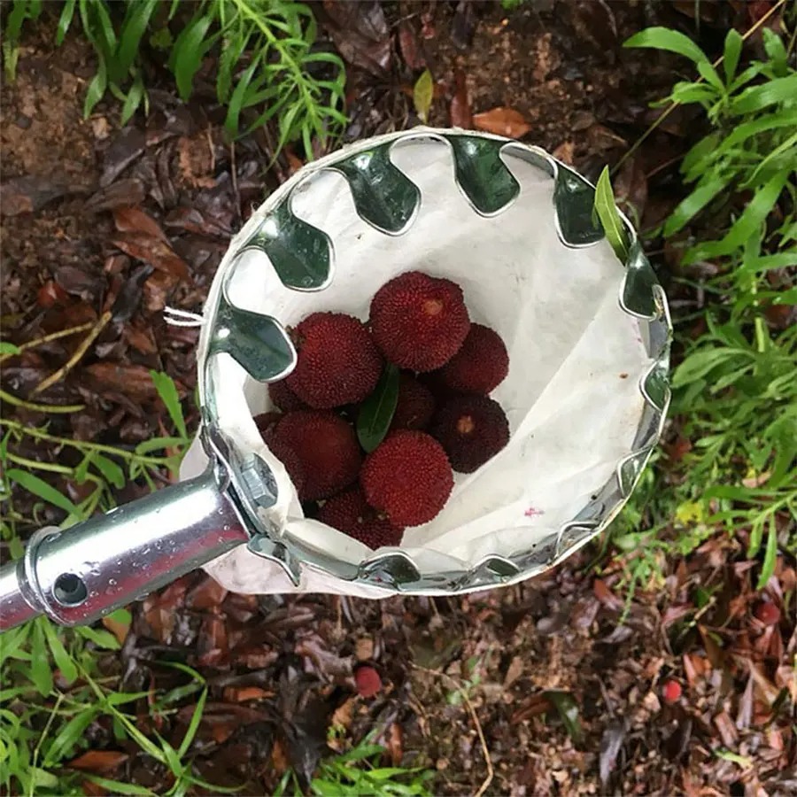 3-in-1 Fruit Harvesting Tool S - Gardening Tools Shop recensione e prezzo