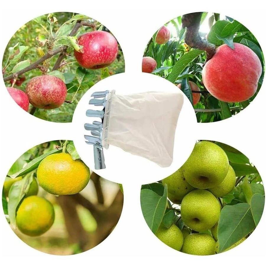 3-in-1 Fruit Harvesting Tool S - Gardening Tools Shop recensione e prezzo