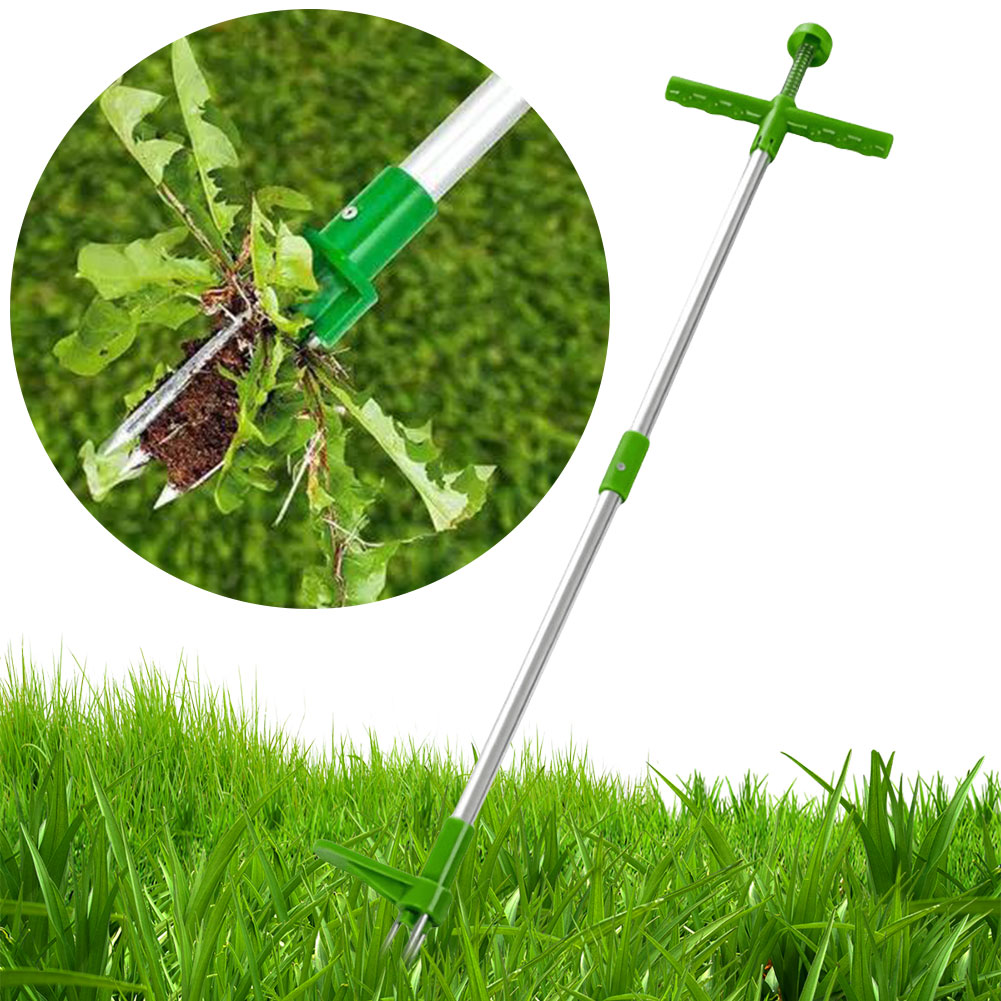 Stand Up Weeder Root Removal T - Gardening Tools To Remove Grass recensione e prezzo