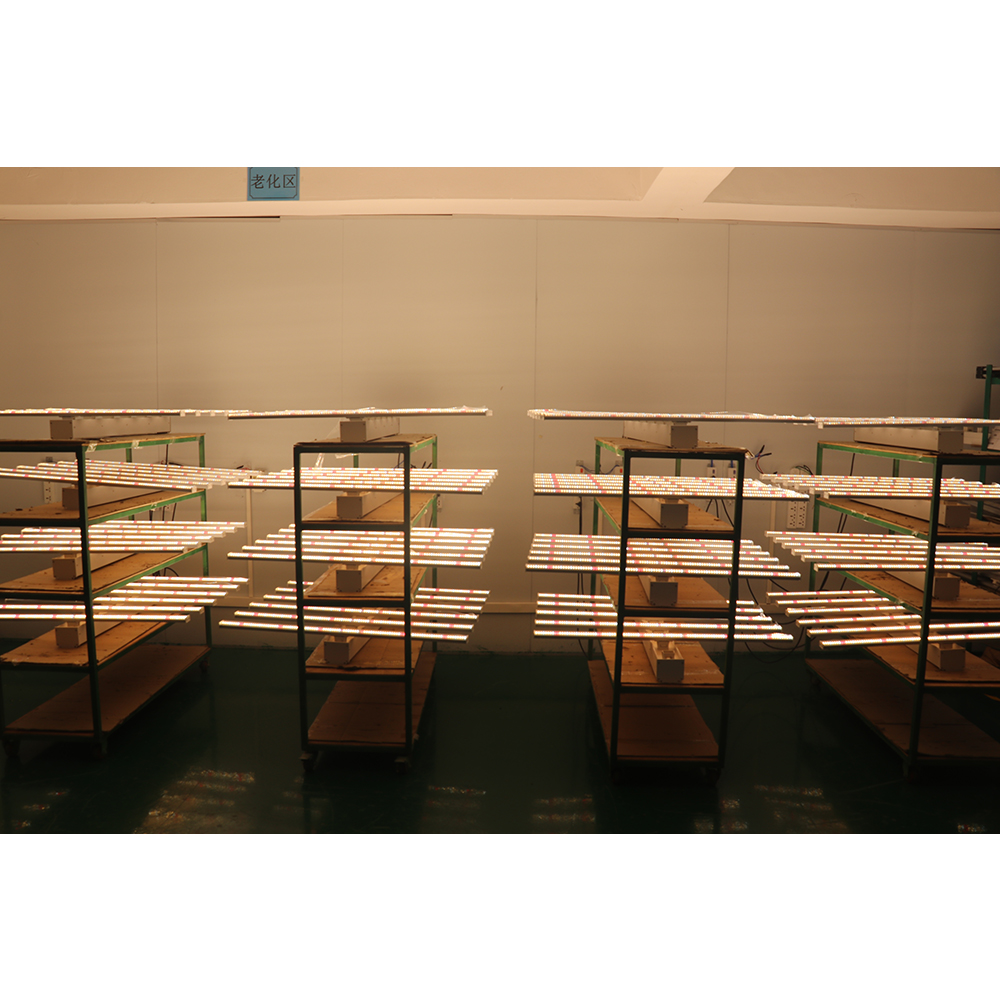 2023 Drop-shipping Factory Dir - Led Grow Light recensione e prezzo