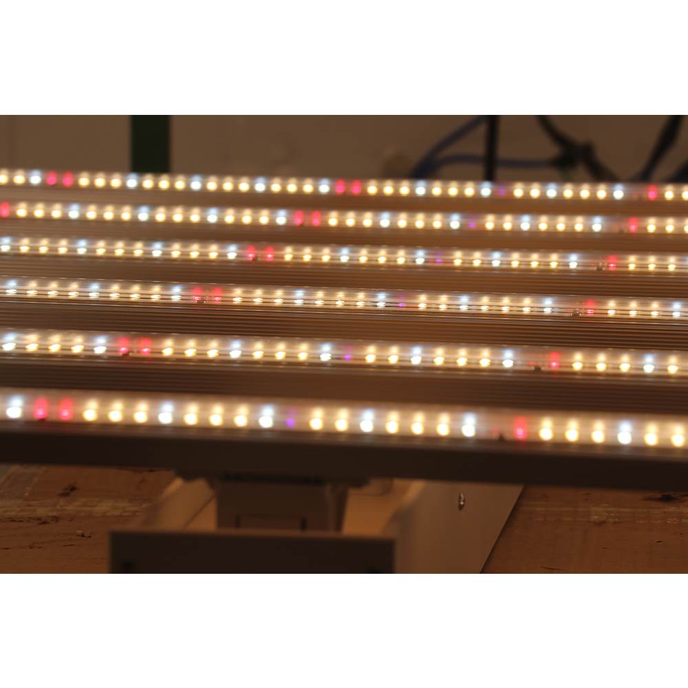 2023 Drop-shipping Factory Dir - Led Grow Light recensione e prezzo