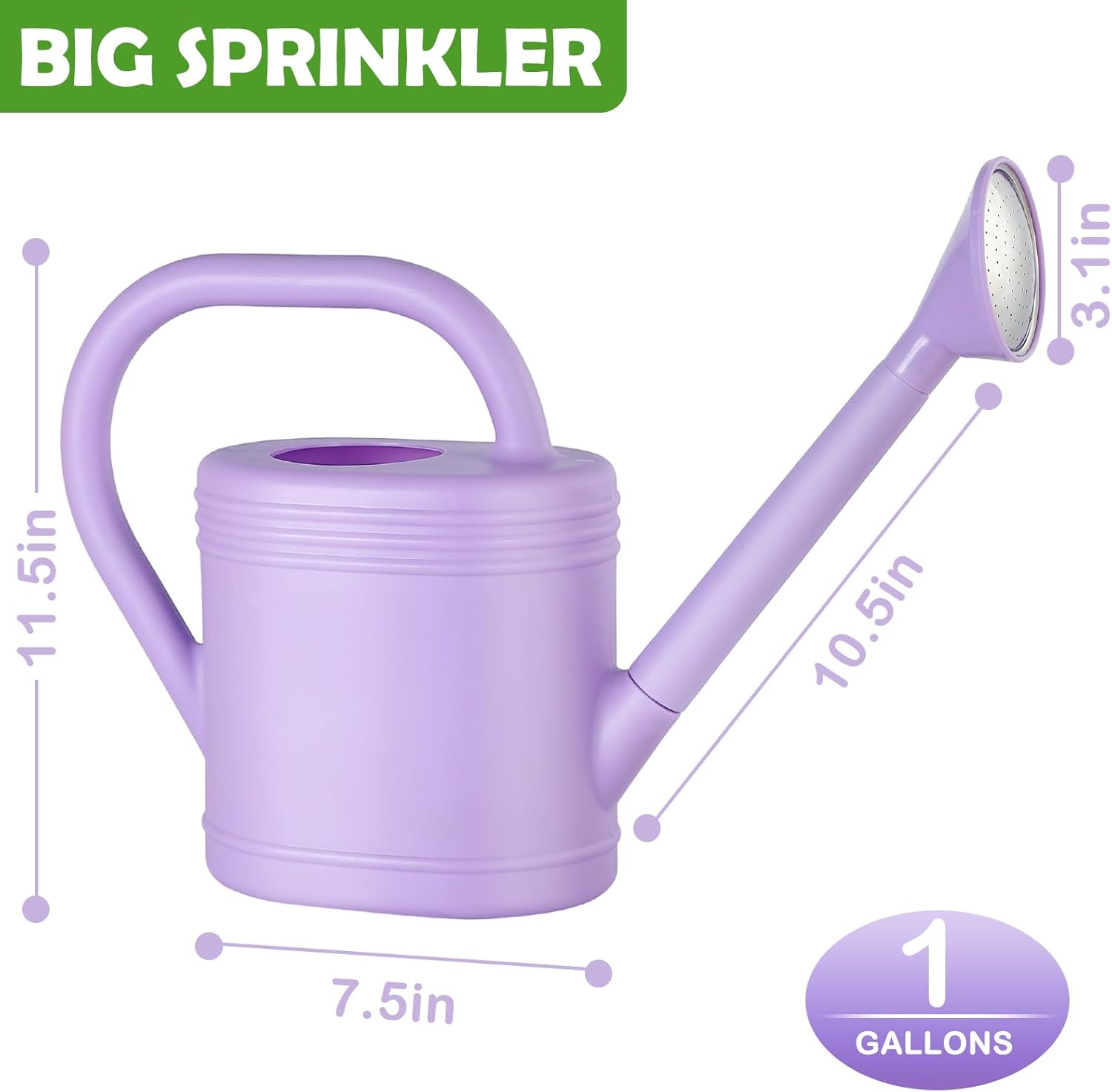 1 Gallon Watering Can for Indo - Watering Can Long Spout recensione e prezzo