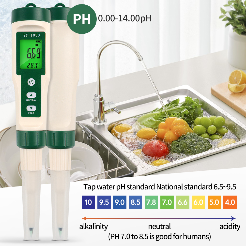 Professional Food PH Meter 0~1 - Soil Ph Meter recensione e prezzo