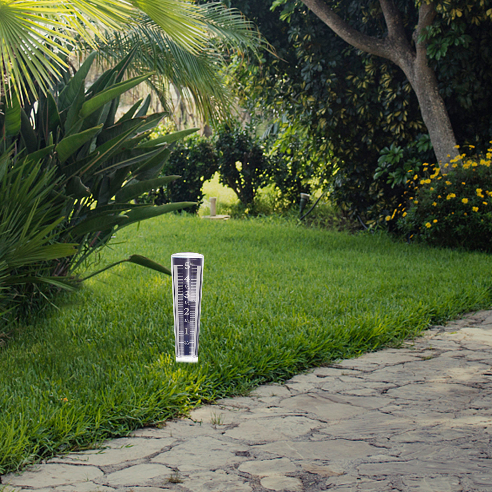 Transparent Rain Gauge for Out - Gardening Tools Toolstation recensione e prezzo