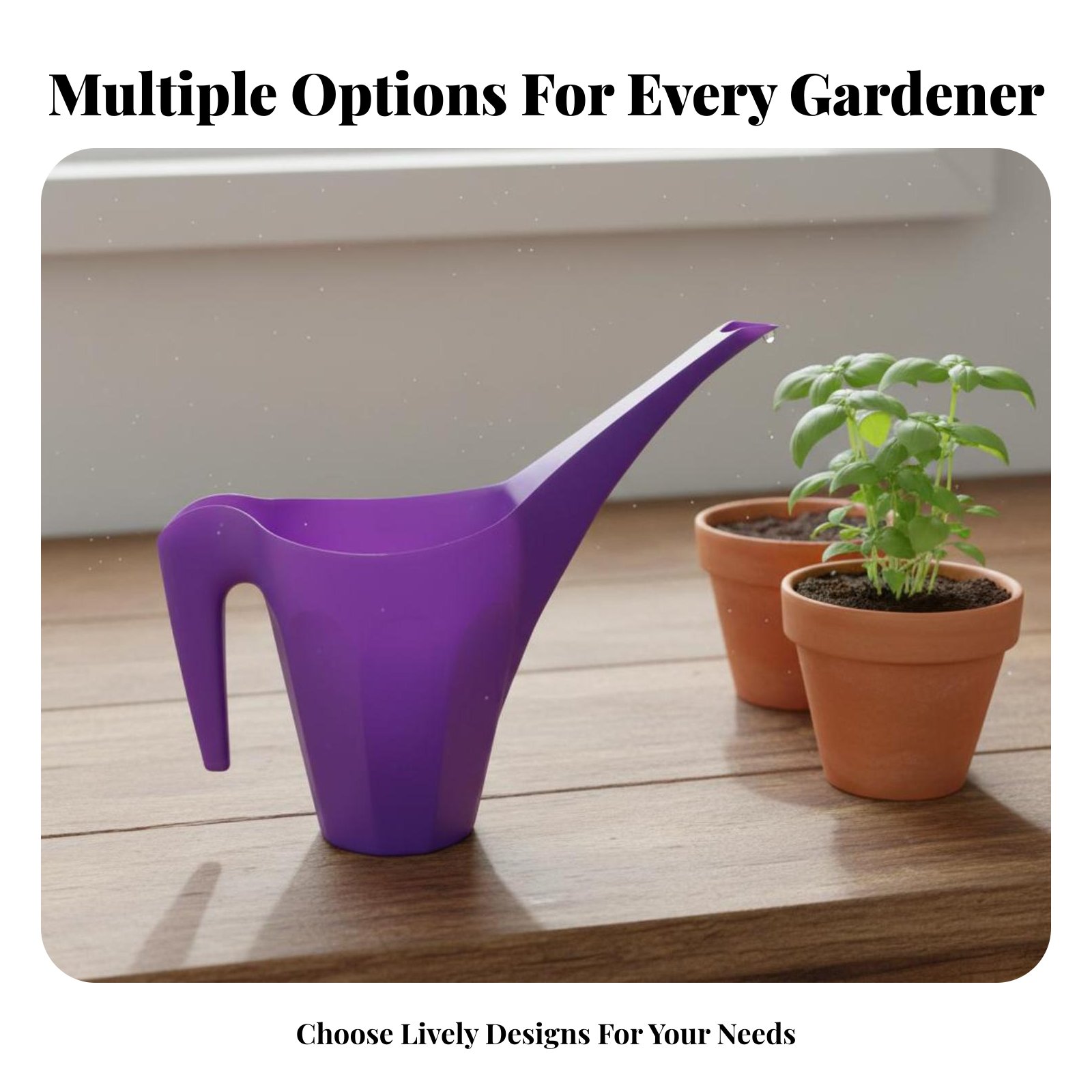 Plastic Watering Can with Spri - Watering Can Long Spout recensione e prezzo