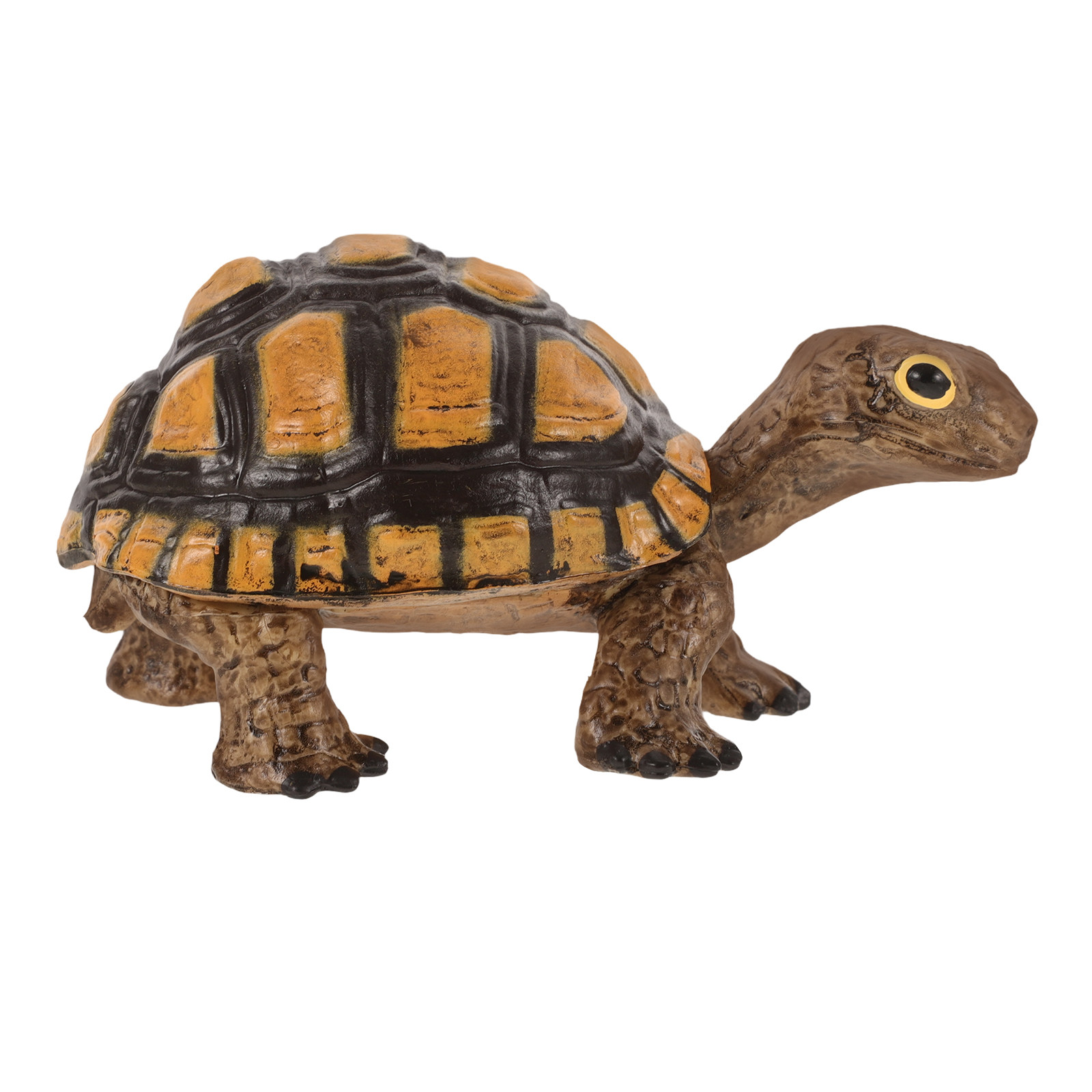 Realistic Wild Tortoise Educat - Gardening Tools Kids recensione e prezzo