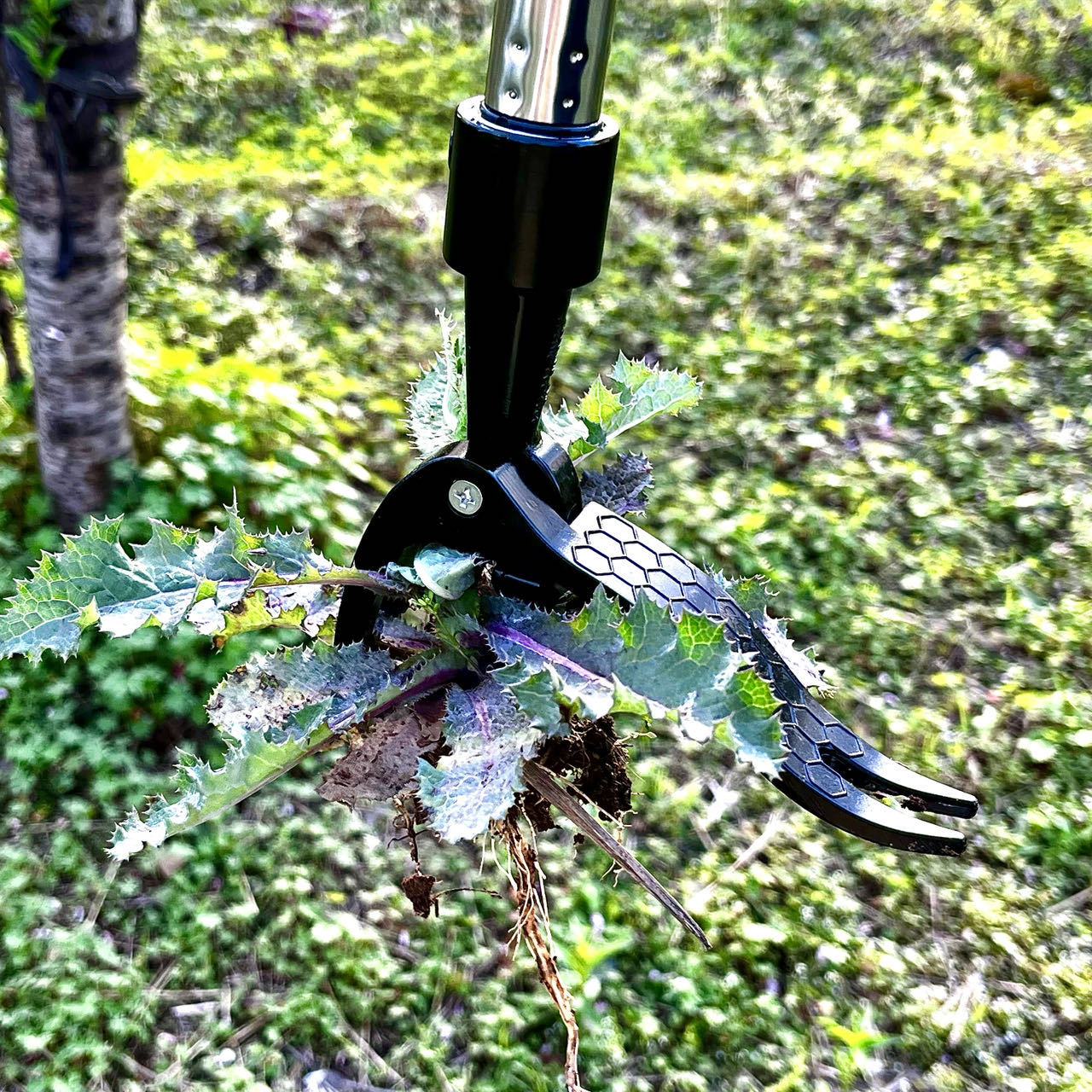 Save Labour Hand Metal Weed Ex - Gardening Tools Needed recensione e prezzo