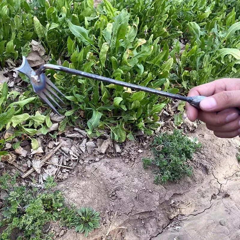 Garden Weeders Grass Hand Weed - Gardening Tools To Remove Grass recensione e prezzo
