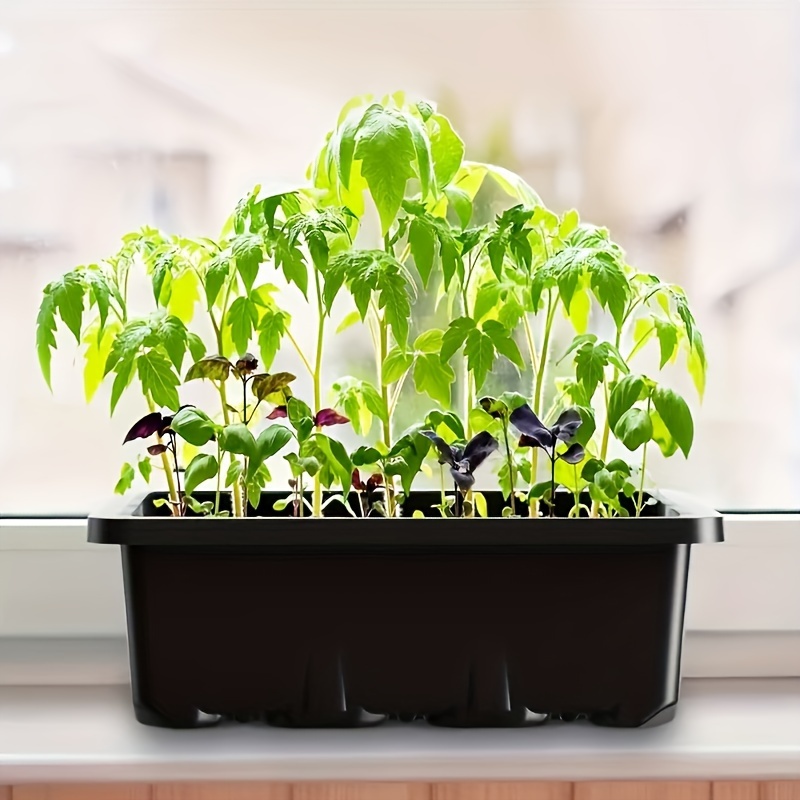 Seedling Starter Kit 1/2/3 Set - Led Grow Light recensione e prezzo
