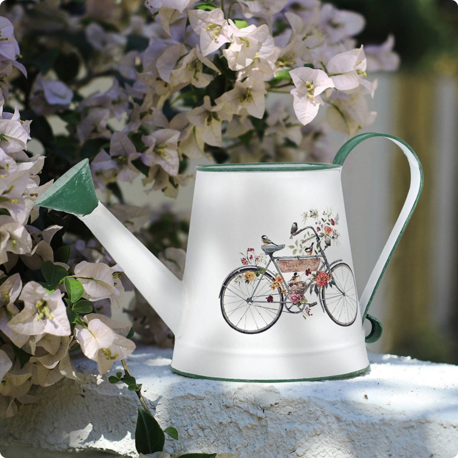 Long Spout Watering Can Rustic - Watering Can Long Spout recensione e prezzo