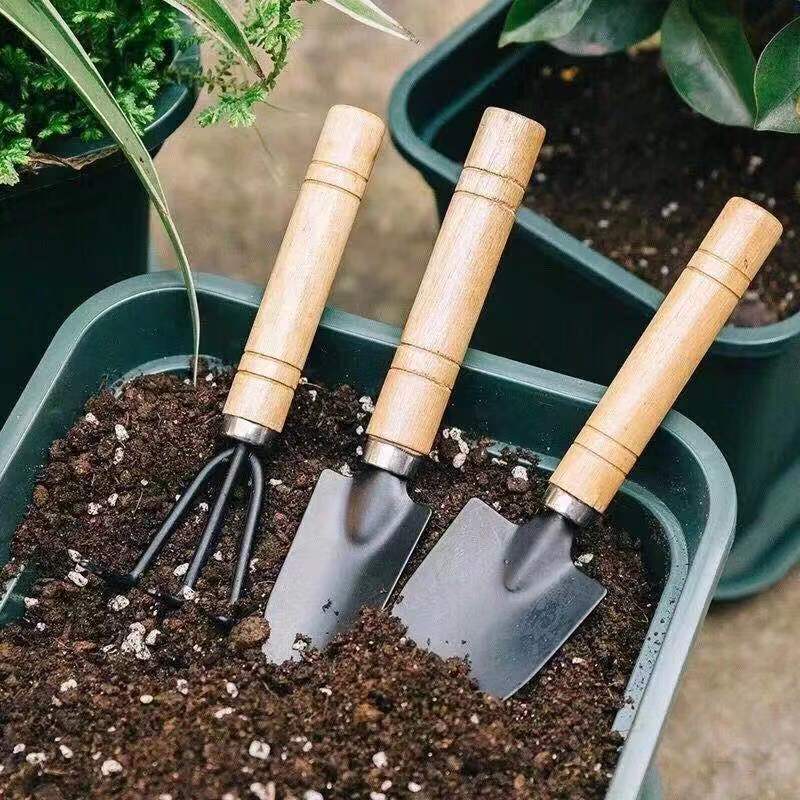 3PC/1Set Mini Gardening Tools  - Gardening Tools Shop recensione e prezzo