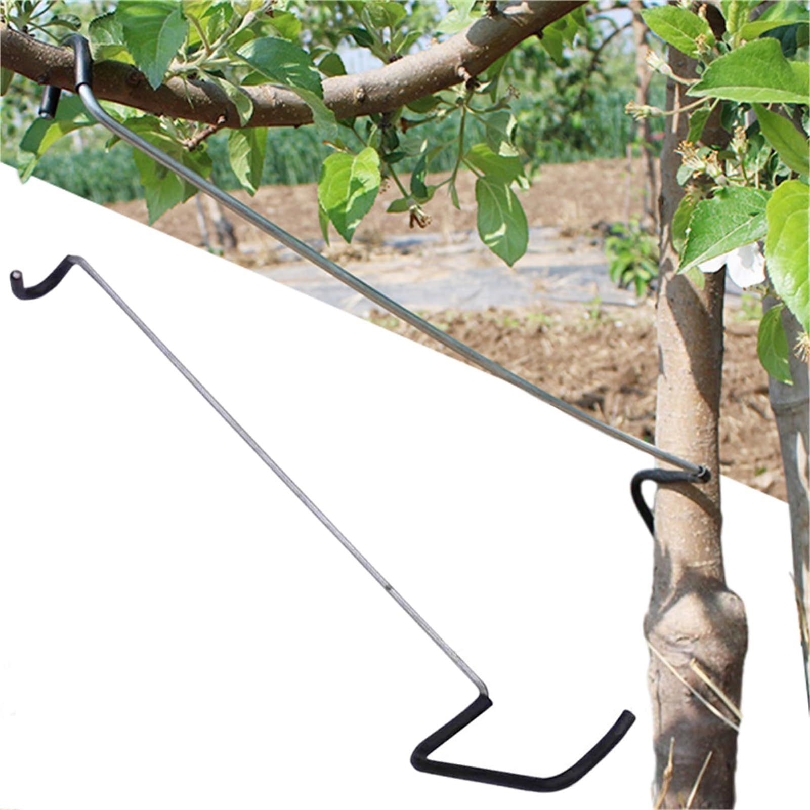 Fruit Tree Branch Spreader 10P - Gardening Tools Shop recensione e prezzo