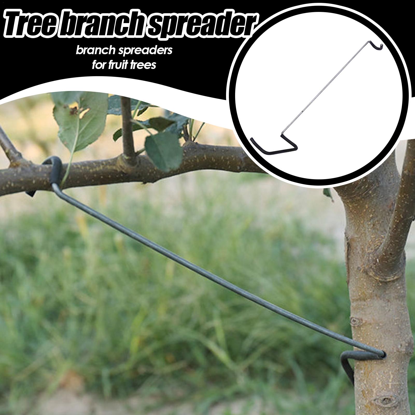 Fruit Tree Branch Spreader 10P - Gardening Tools Shop recensione e prezzo