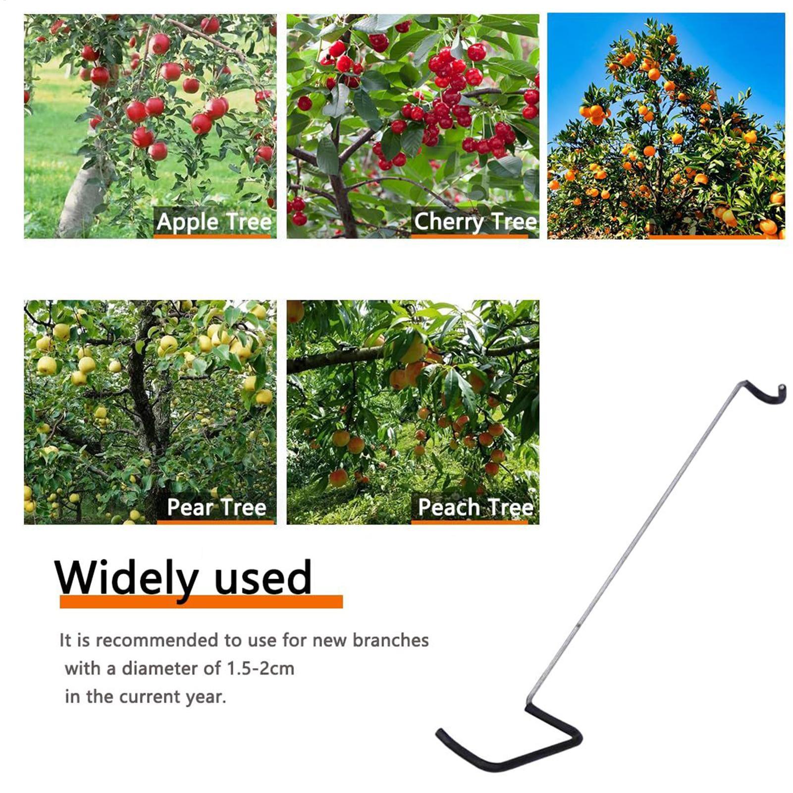 Fruit Tree Branch Spreader 10P - Gardening Tools Shop recensione e prezzo