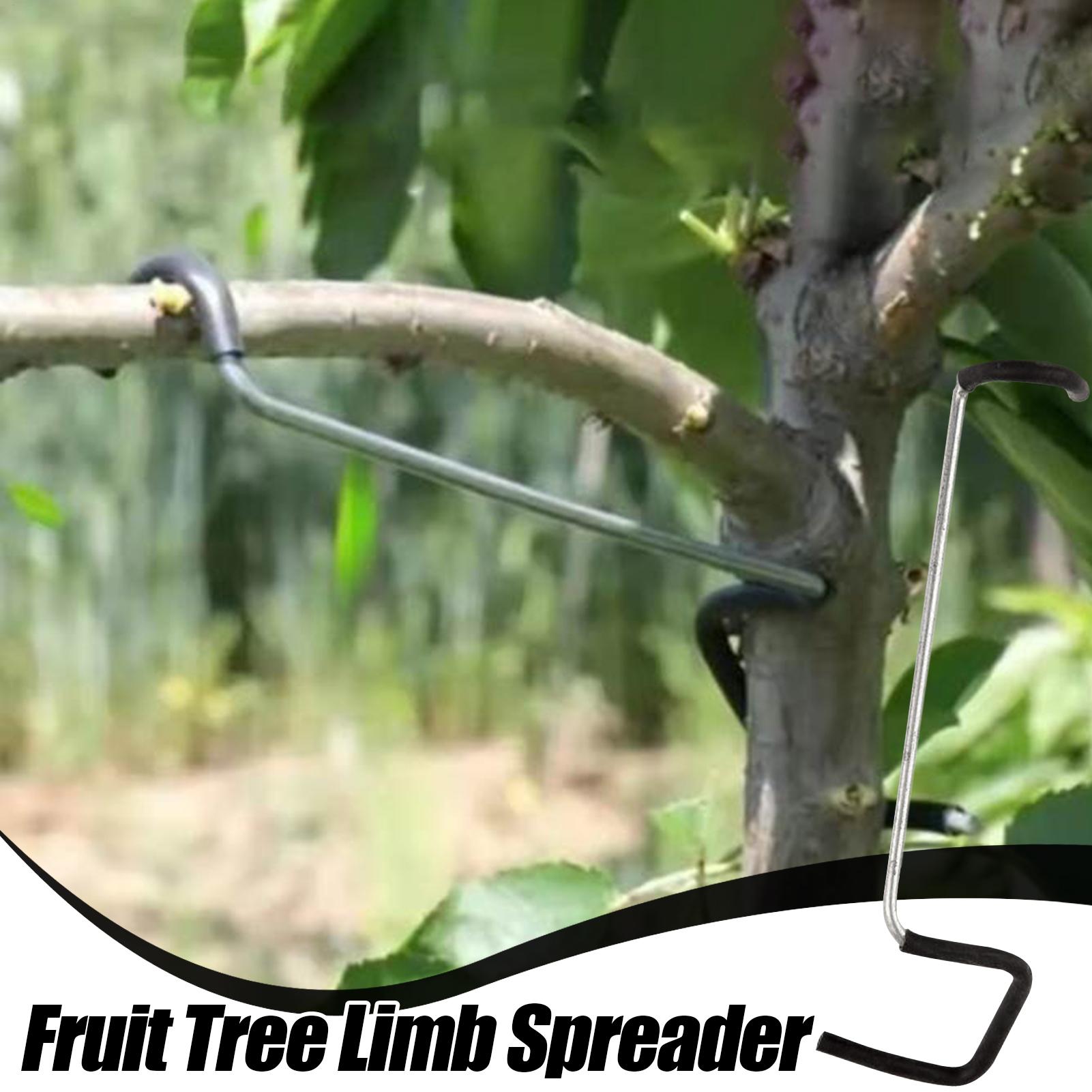 Fruit Tree Branch Spreader 10P - Gardening Tools Shop recensione e prezzo