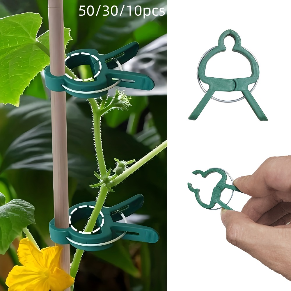 10/30/50pcs Adjustable Plant C - Gardening Tools Essential recensione e prezzo