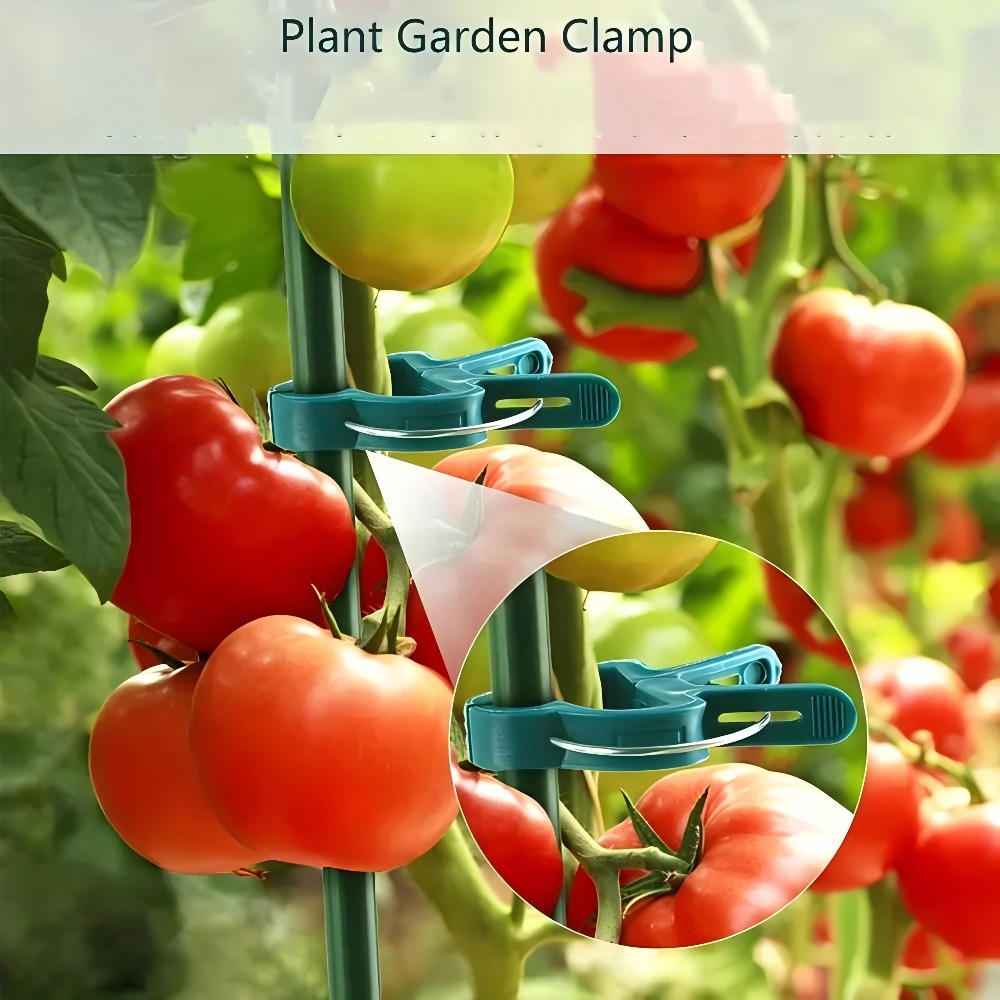 10/30/50pcs Adjustable Plant C - Gardening Tools Essential recensione e prezzo