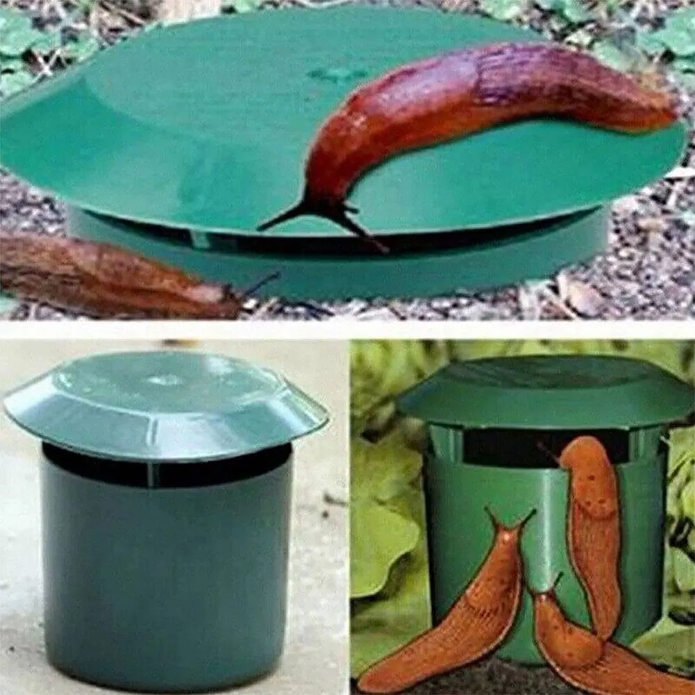 2-12Pcs Snail Trap Catcher Eco - Gardening Tools Toolstation recensione e prezzo