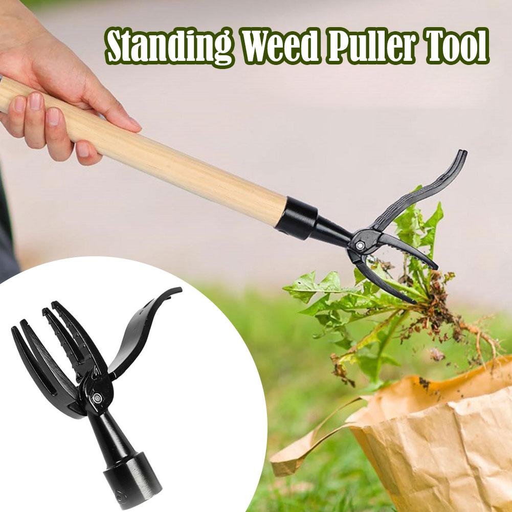 Weed Puller Claw Tool Engineer - Gardening Tools To Remove Grass recensione e prezzo