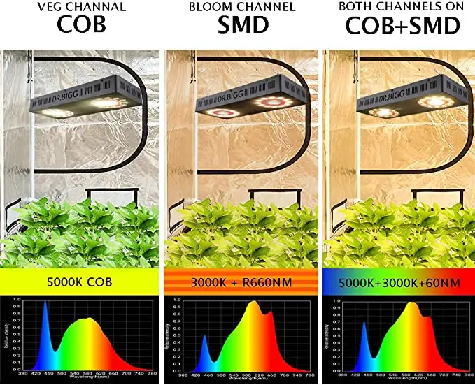 Parfactworks 62% Off Flashsale - Led Grow Light recensione e prezzo