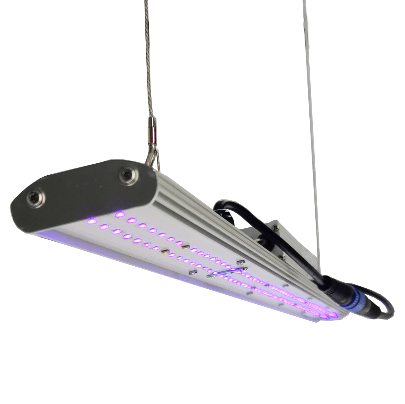 DANSE LED Manual Dimmer LED Gr - Led Grow Light recensione e prezzo