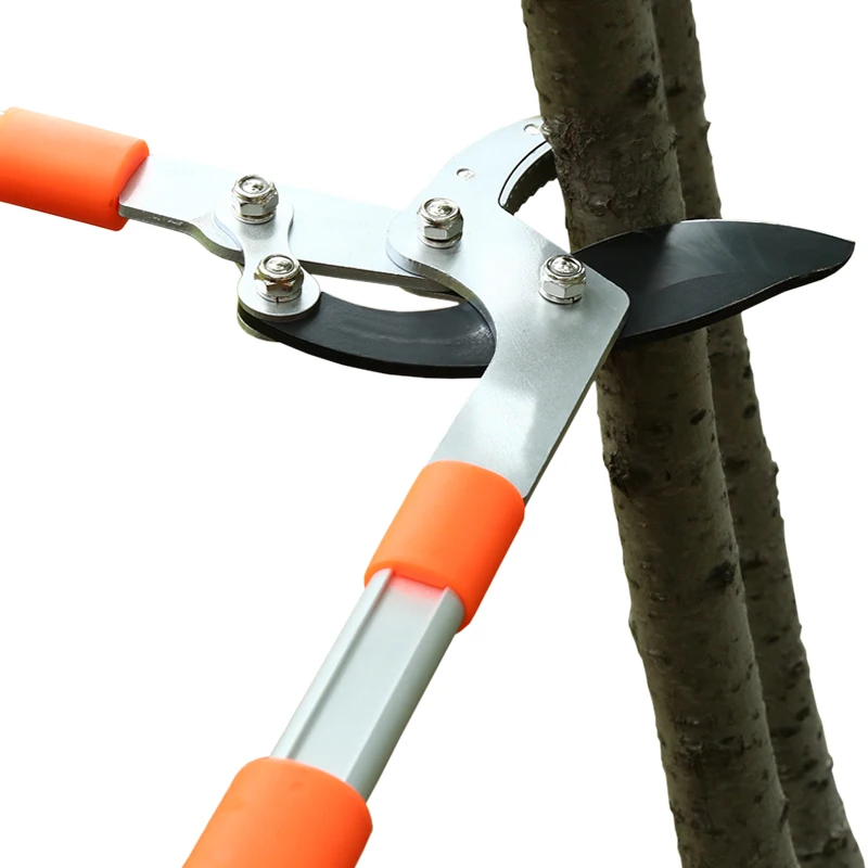 Long Length Scissor Hedge Anvi - Gardening Tools German recensione e prezzo