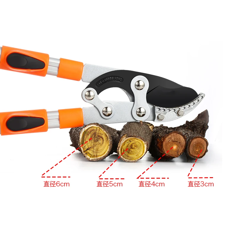 Long Length Scissor Hedge Anvi - Gardening Tools German recensione e prezzo