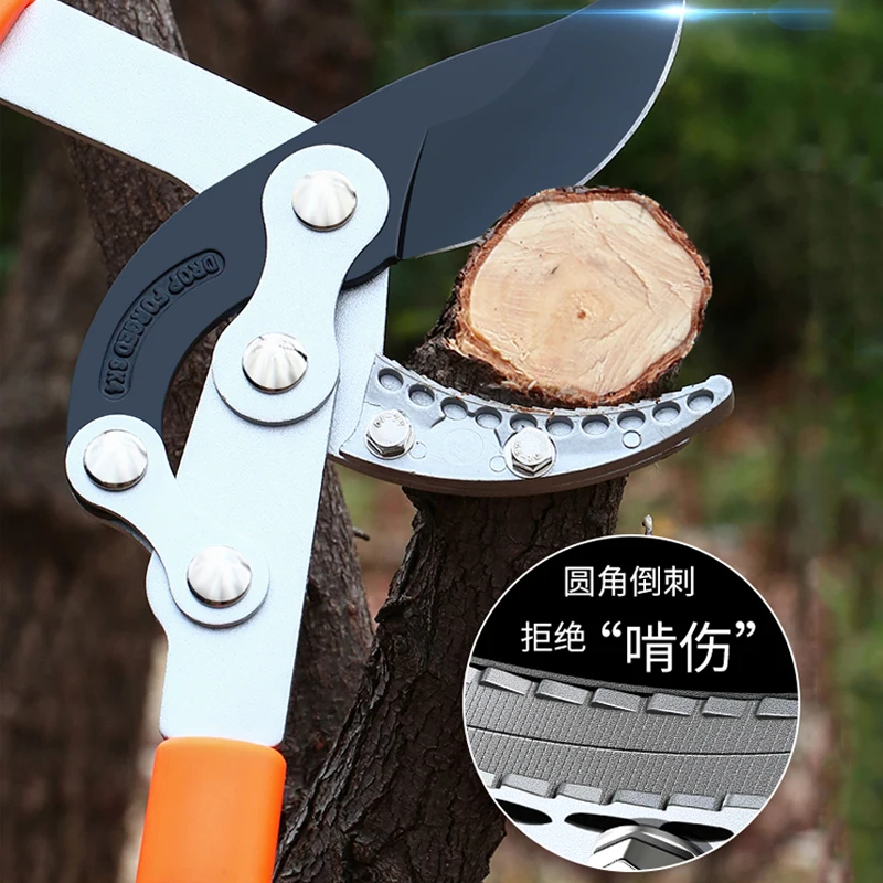 Long Length Scissor Hedge Anvi - Gardening Tools German recensione e prezzo