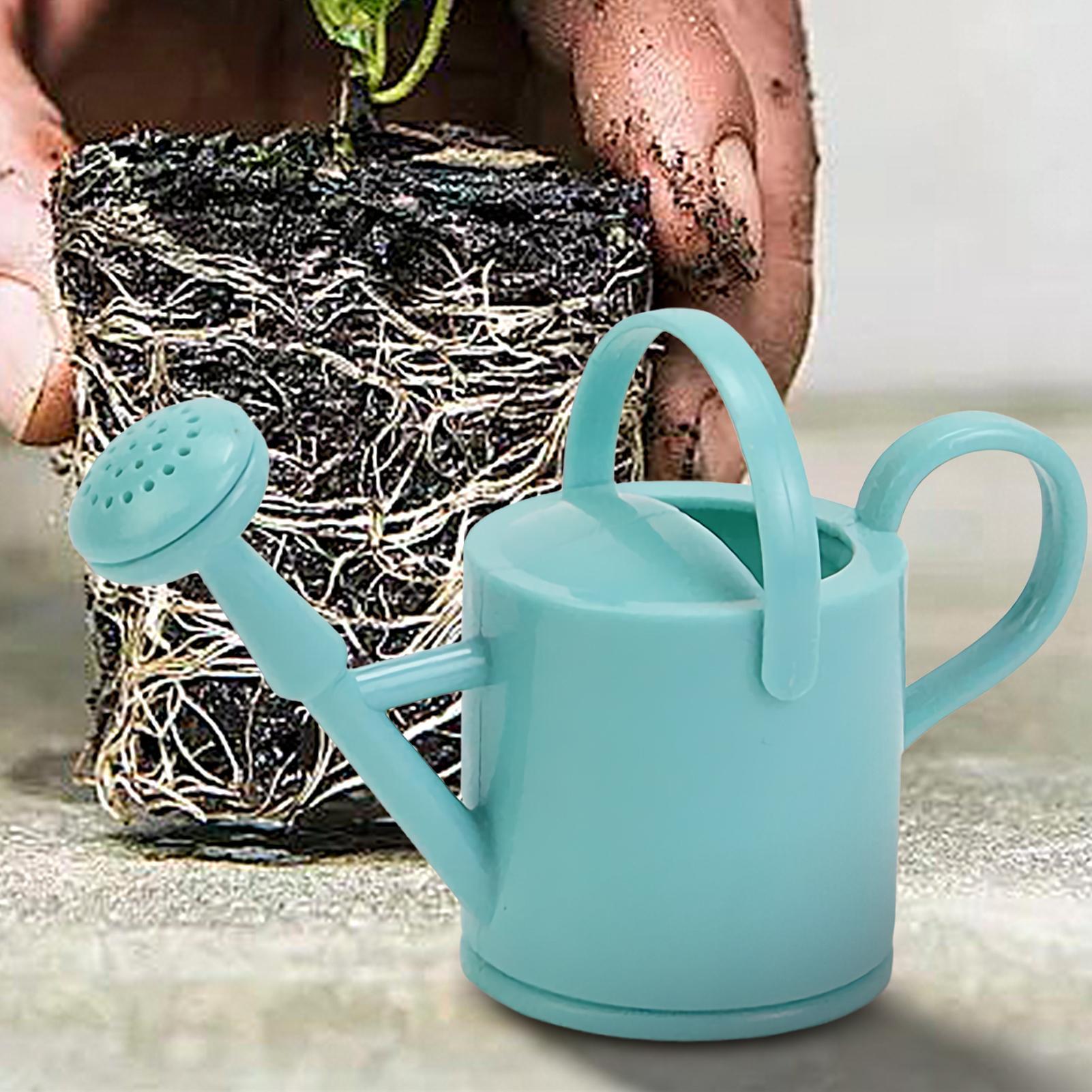 1pc Small Watering Can for Kid - Gardening Tools Kids recensione e prezzo