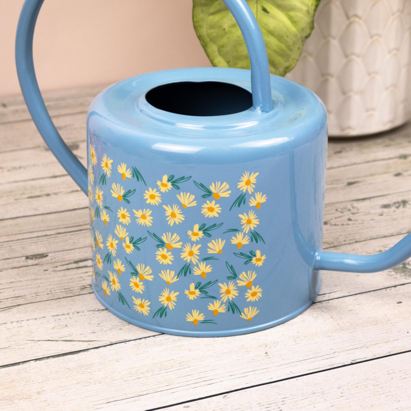 Long Spout Watering Can Floral - Watering Can Long Spout recensione e prezzo