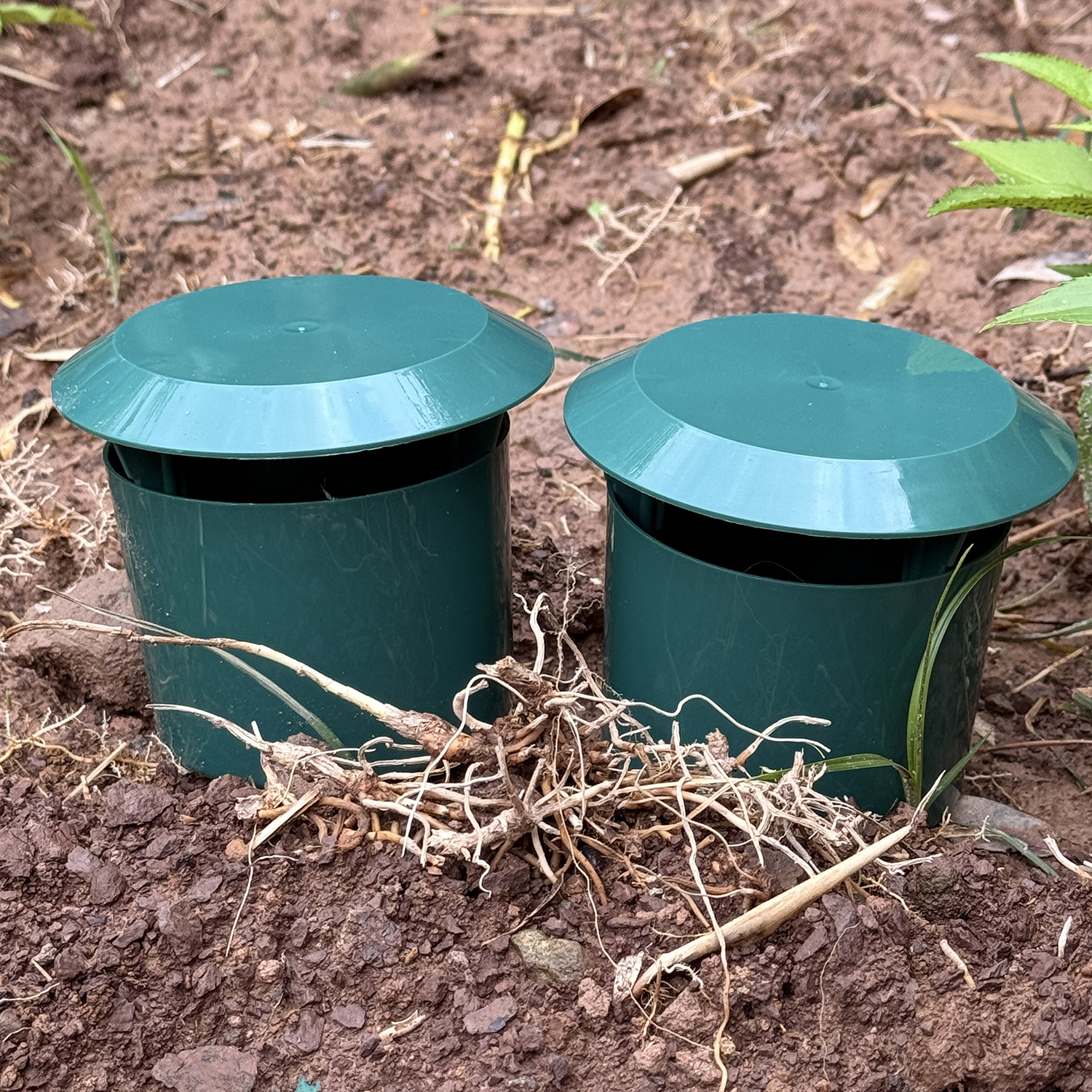 1-12pcs Eco-friendly Slug Hous - Gardening Tools Toolstation recensione e prezzo