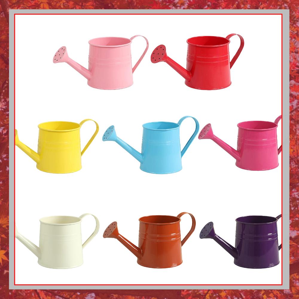 Flower Long Spout Water Can fo - Watering Can Long Spout recensione e prezzo