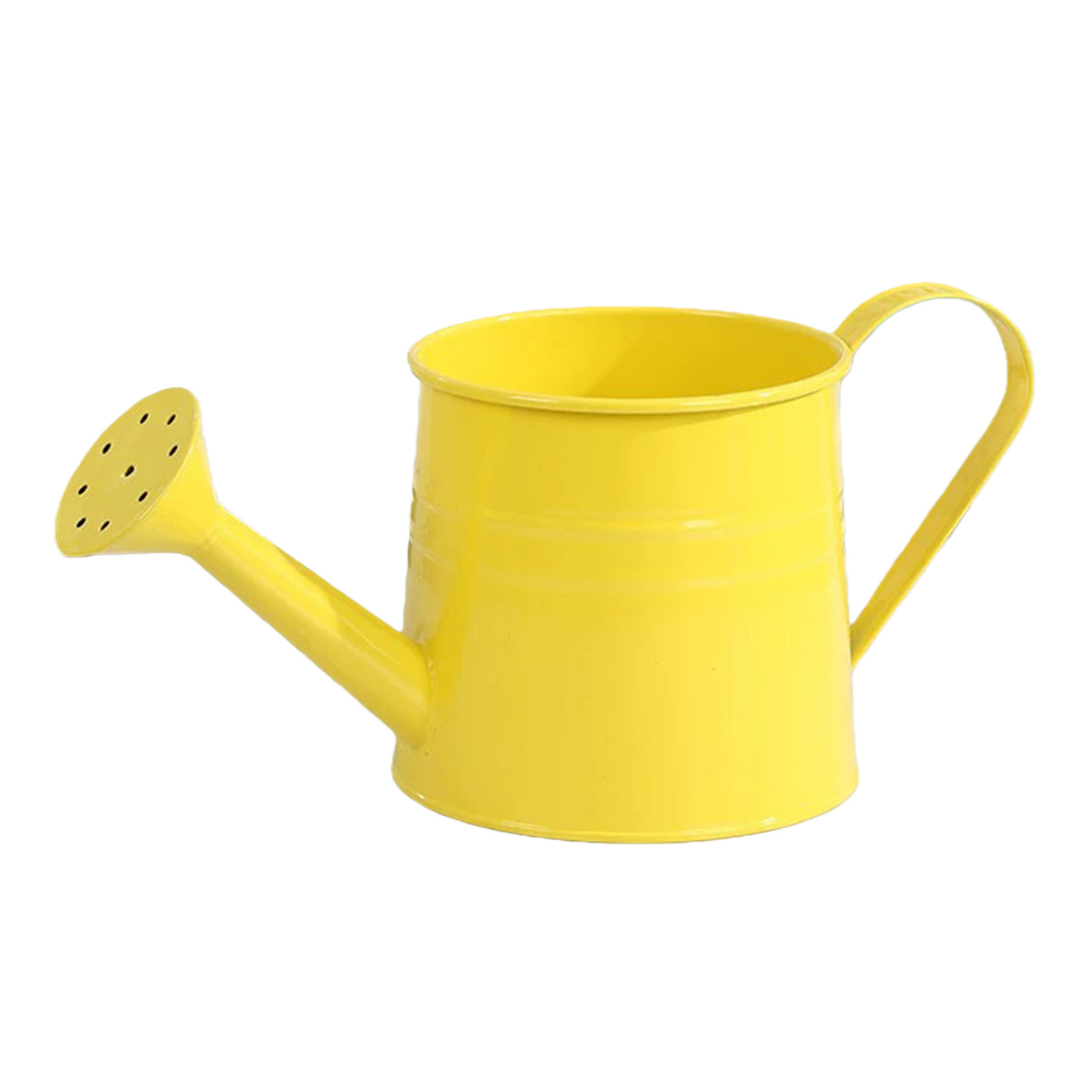 Flower Long Spout Water Can fo - Watering Can Long Spout recensione e prezzo