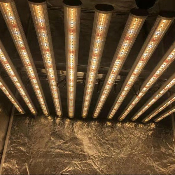 LUX China Factory Led Plant Li - Led Grow Light recensione e prezzo
