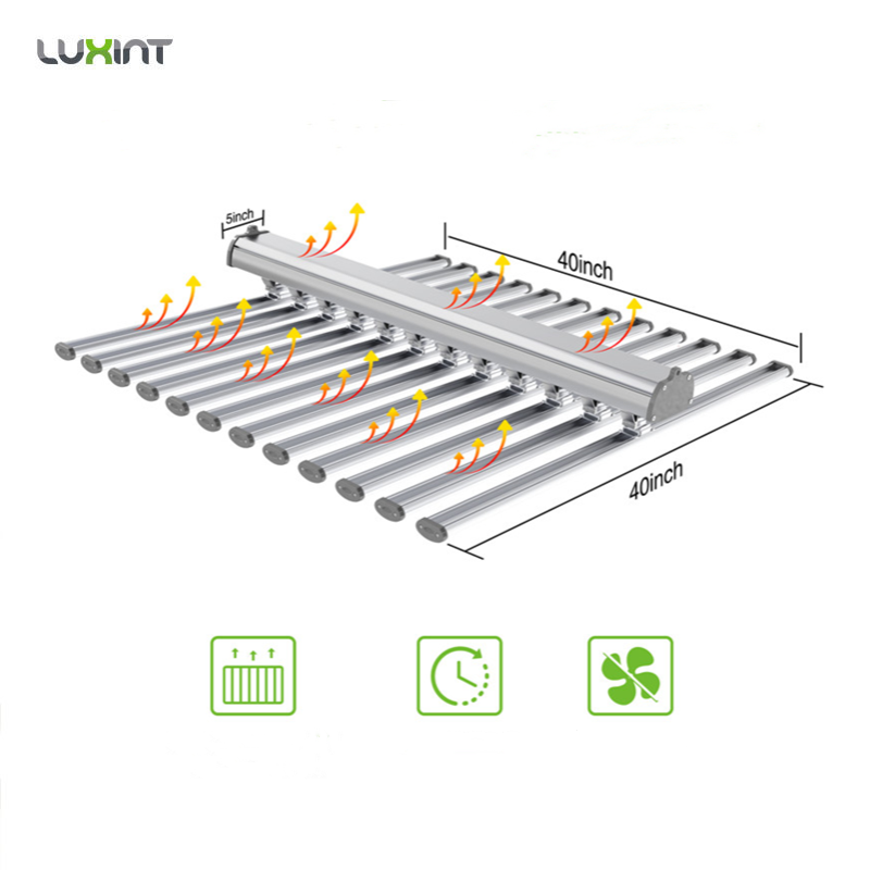 LUX China Factory Led Plant Li - Led Grow Light recensione e prezzo