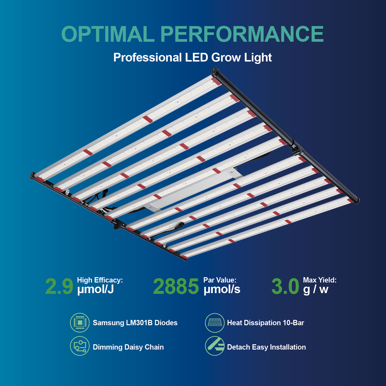 ETL 240W 320W 600W 800W 1000W  - Led Grow Light recensione e prezzo
